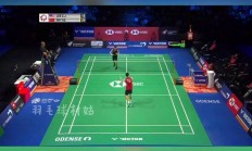 开云体育平台APP-包含丹麦队翻盘日本队，李梓嘉扛起全队的词条