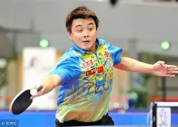 中国乒乓球队完胜日本乒乓球队,王皓高光表现 中国乒乓球队完胜日本乒乓球队,王皓高光表现