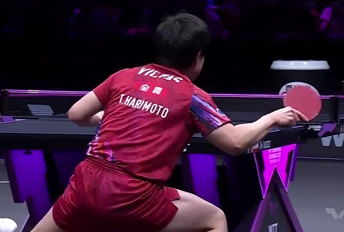 中国乒乓球队碾压瑞典乒乓球队，张本智和高光表现的简单介绍