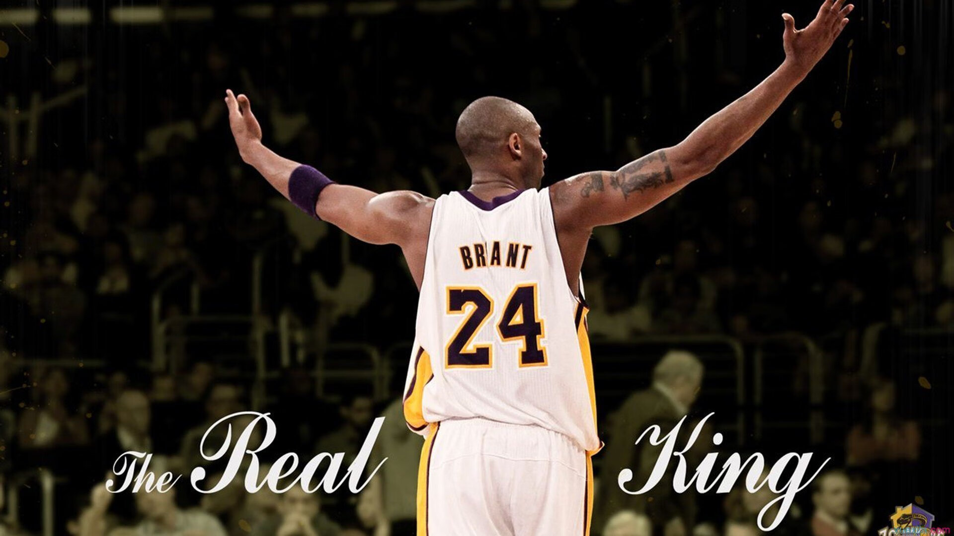 年度焦点之战之夜，卡马文加扛起全队